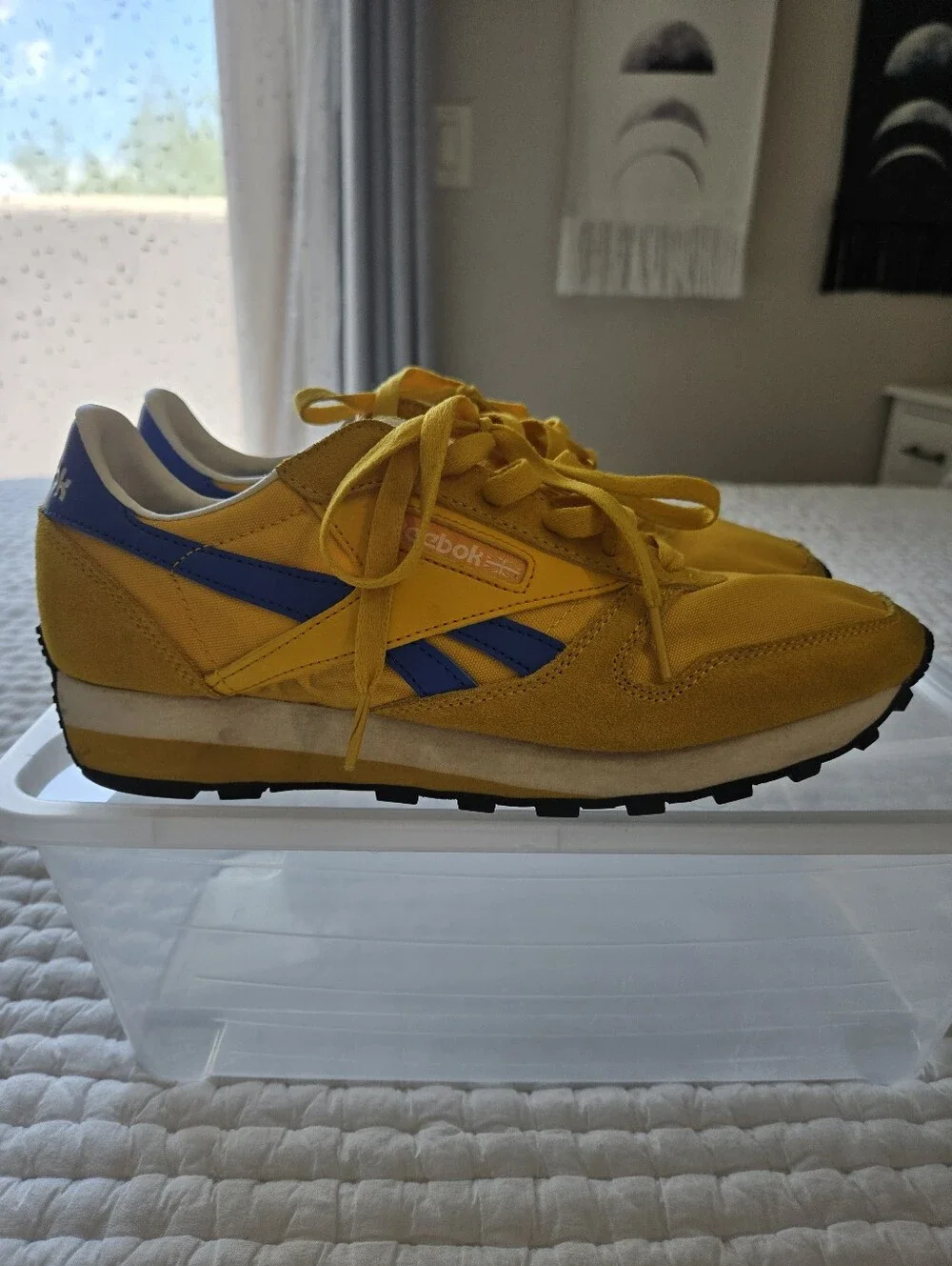 Reebok lightweight color bold